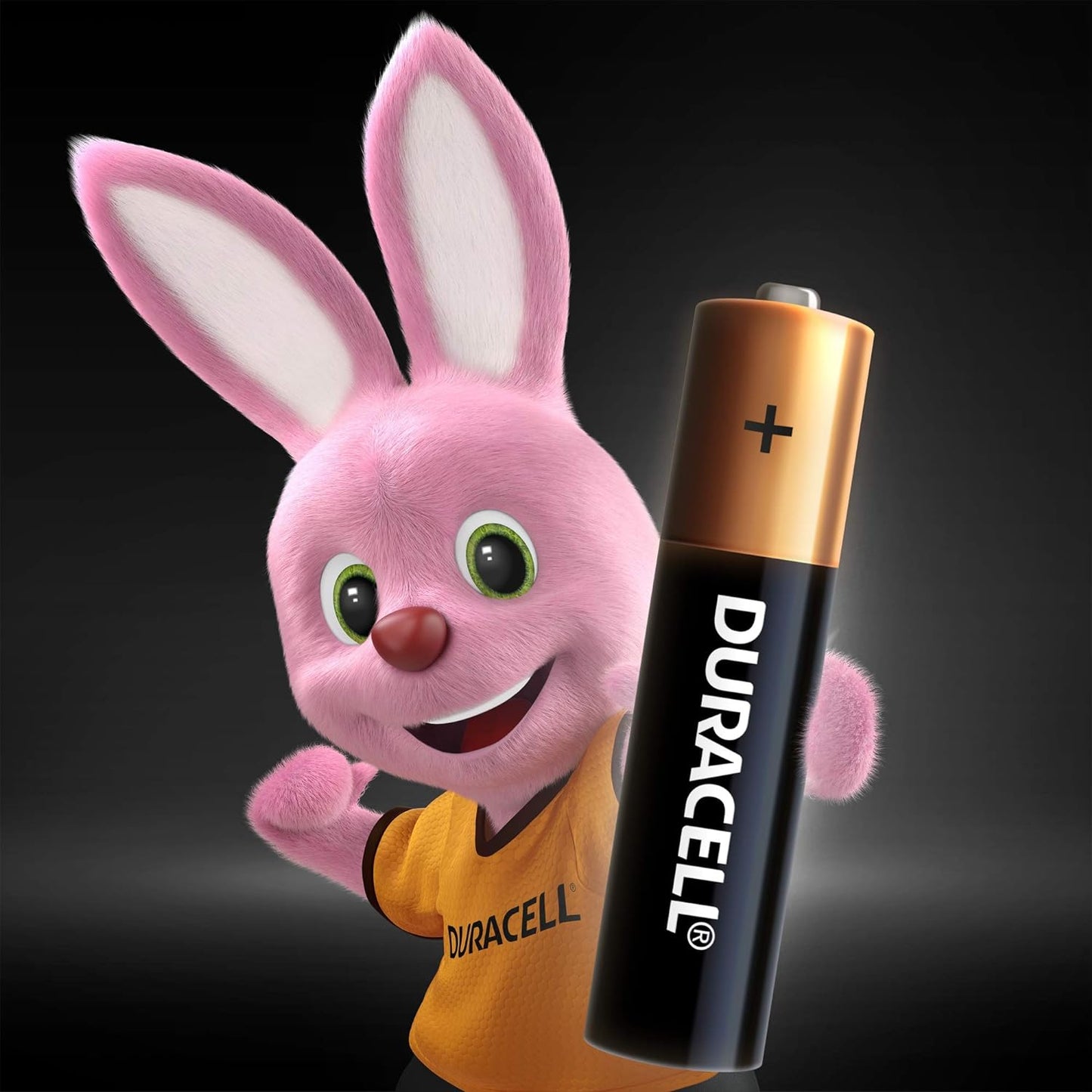 PILHA ALCALINA PALITO AAA C/2 DURACELL