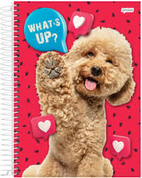 CADERNO ESP UNIV 80FLS PET