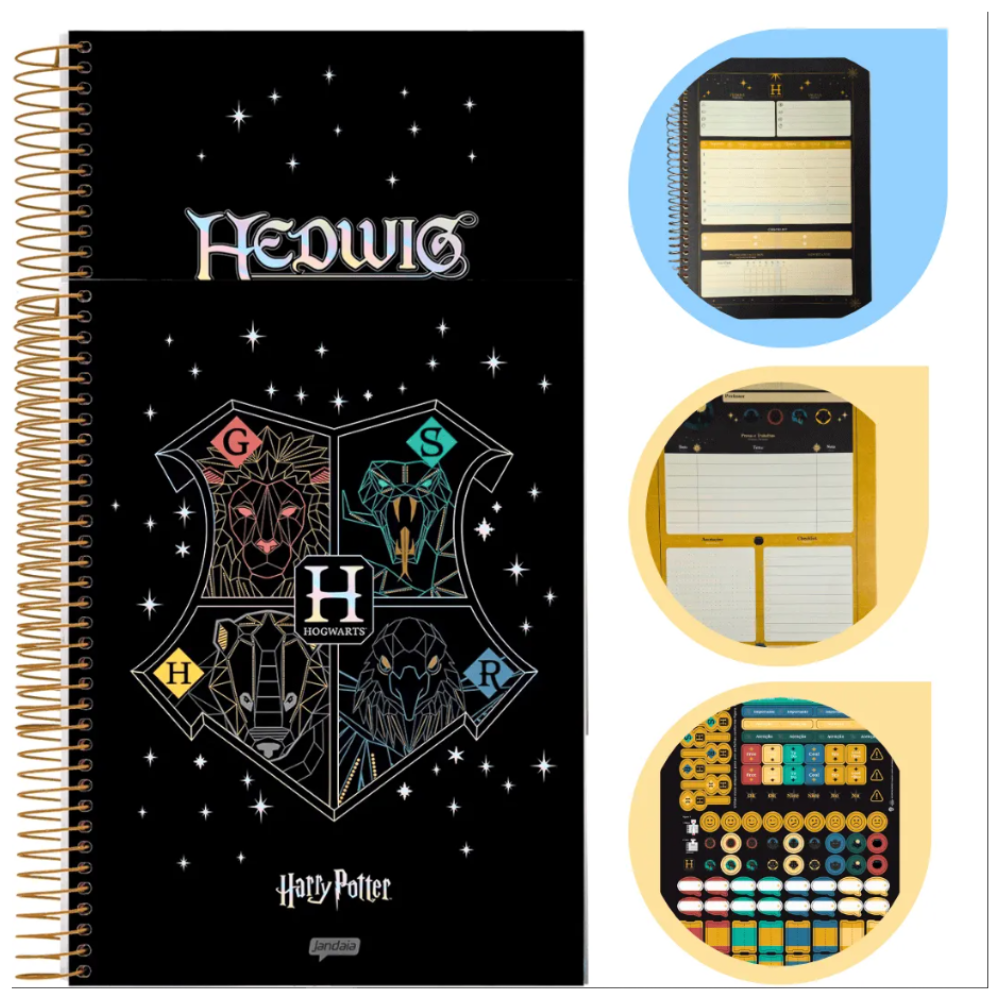 Caderno Espiral Universitário Harry Potter 10 Matérias Jandaia IA 160 Folhas