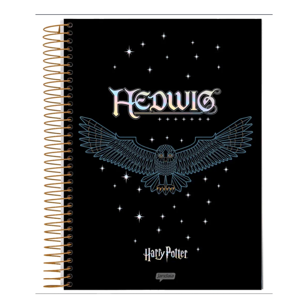 Caderno Espiral Universitário Harry Potter 10 Matérias Jandaia IA 160 Folhas