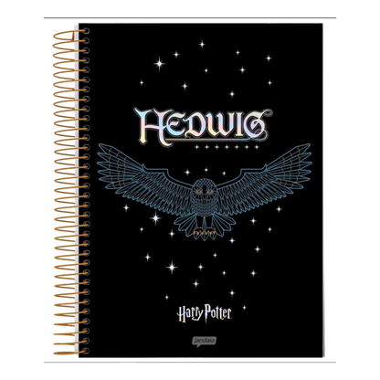 Caderno Espiral Universitário Harry Potter 10 Matérias Jandaia IA 160 Folhas
