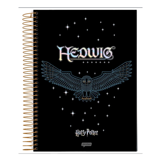 Caderno Espiral Universitário Harry Potter 10 Matérias Jandaia IA 160 Folhas