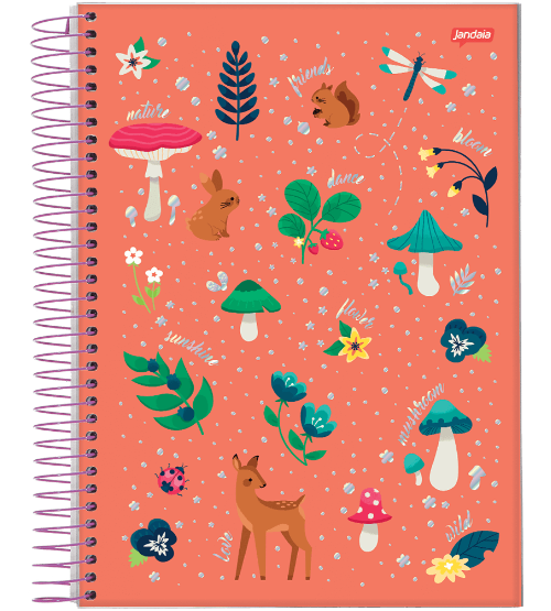 CADERNO ESPIRAL UNIVERSITARIO 80 FLS